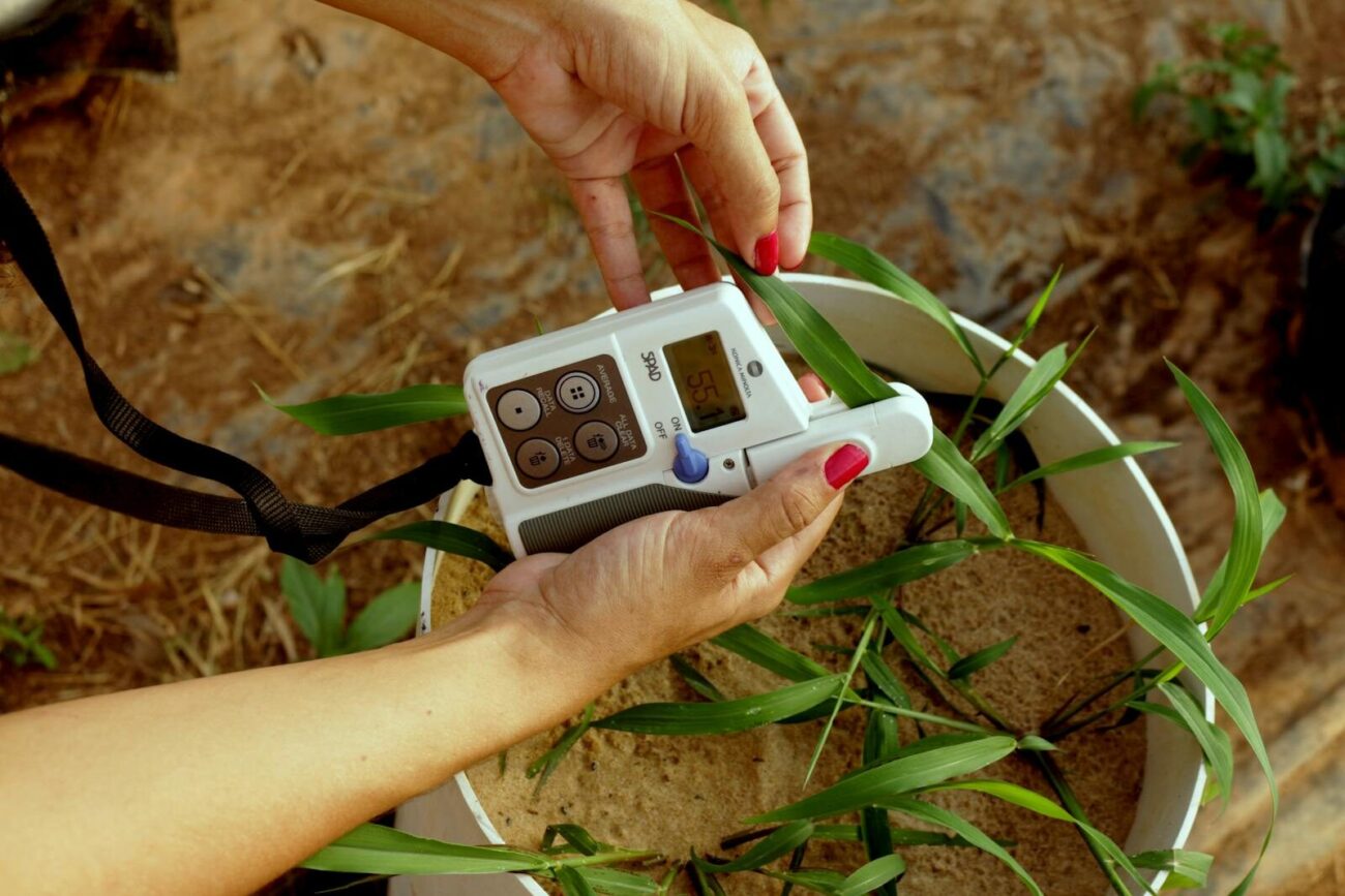 Close-up of using a chlorophyll meter to assess plant health in an outdoor setting.
