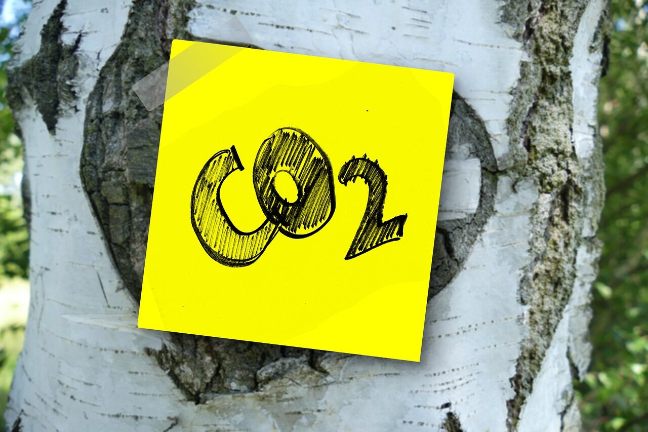 co2, carbon dioxide, carbon, nature, oxygen, tree, bark, birch, memo, note