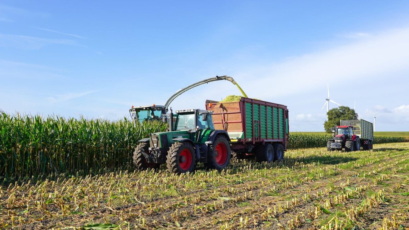 Tractors harvesting corn in a field with wind turbines, Hohnstorf, Germany.
