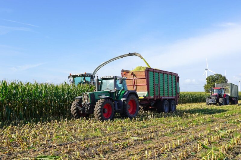 Climate Warming and Biofuel Production: Will Rising Temperatures Boost Yield?