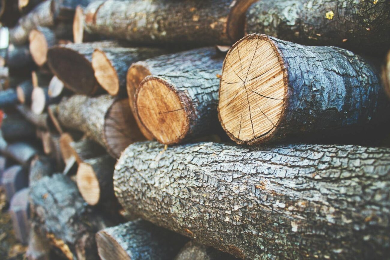 Close-up view of neatly stacked firewood logs, ideal for winter fuel.