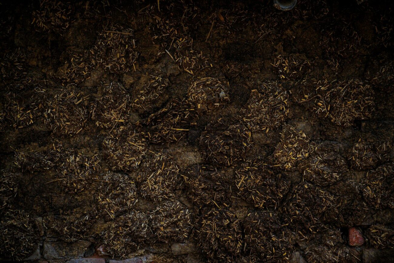 Close-up of a textured wall made of dried organic material.