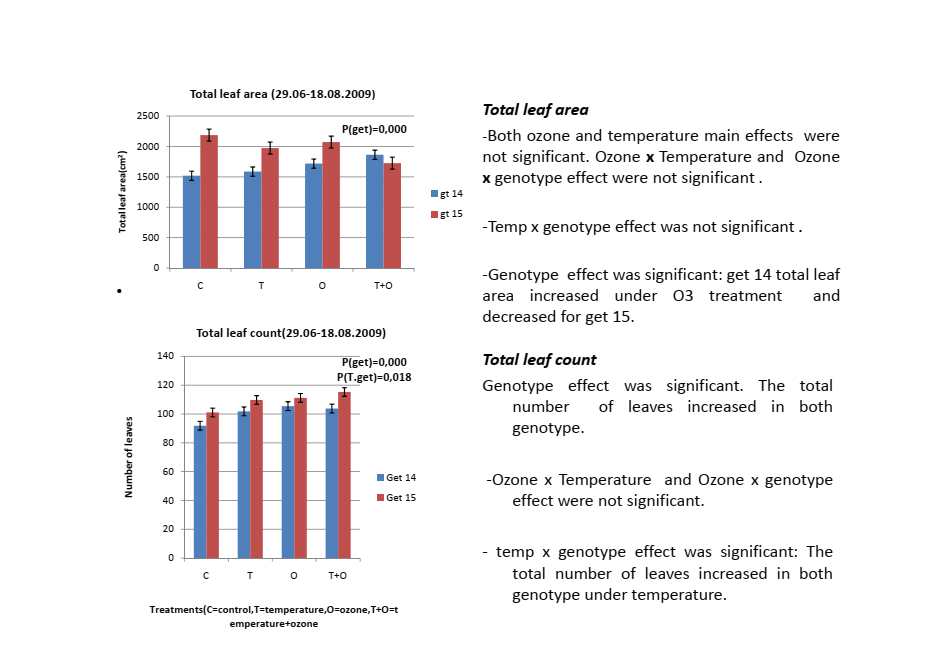 Scientific bar charts showing total leaf area and total leaf count for birch genotypes GT14 and GT15 across control, temperature, and ozone treatments.