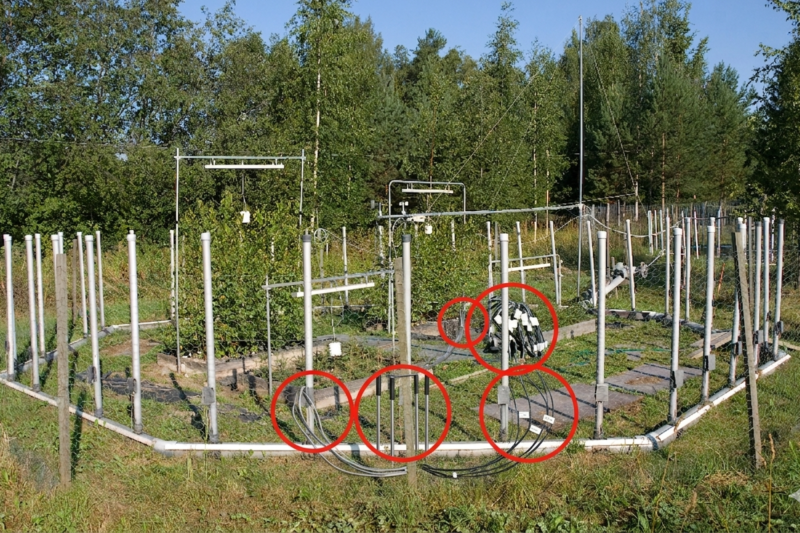 Professional Soil Moisture Sensors: The Essential Tool for Carbon Cycle Analysis