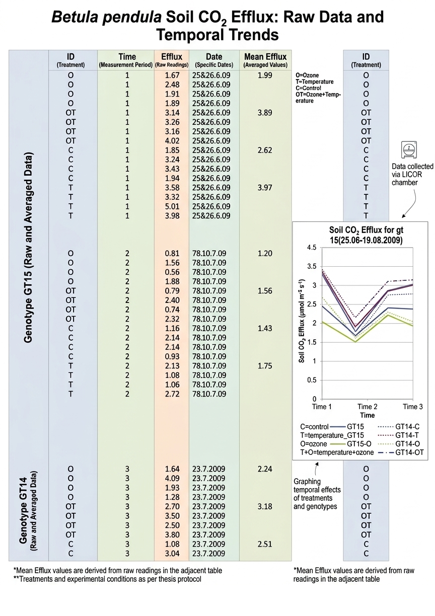 A detailed data sheet from Serge's MSc thesis at UEF showing raw and averaged soil CO2 efflux readings for birch genotypes GT14 and GT15, including a line graph of temporal effects across ozone and temperature treatments.