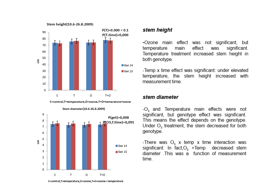 Two bar charts from Serge's MSc thesis labeled 'Results(1)' illustrating stem height and stem diameter responses for Silver Birch genotypes GT14 and GT15 under temperature and ozone treatments.