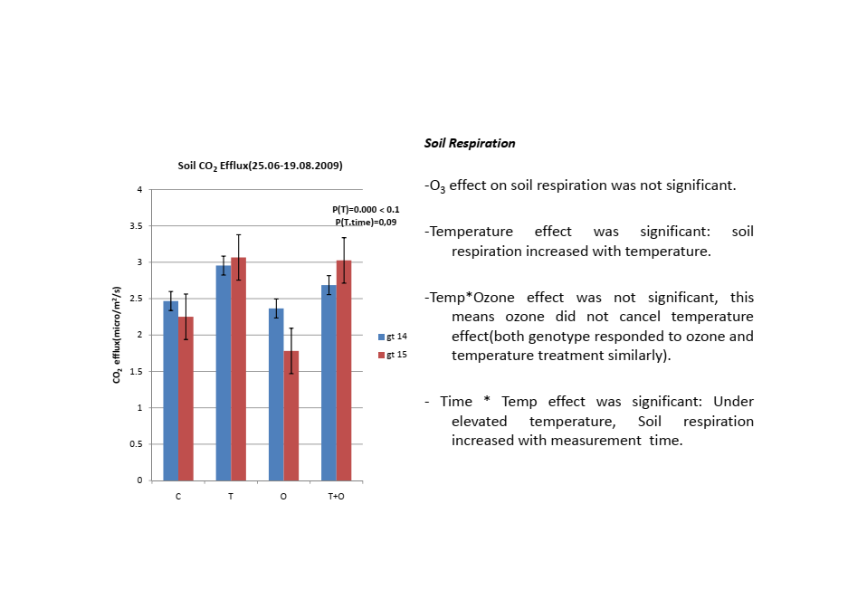 Scientific bar chart labeled Results(3) showing increased soil CO2 efflux under elevated temperature treatments for two birch genotypes.