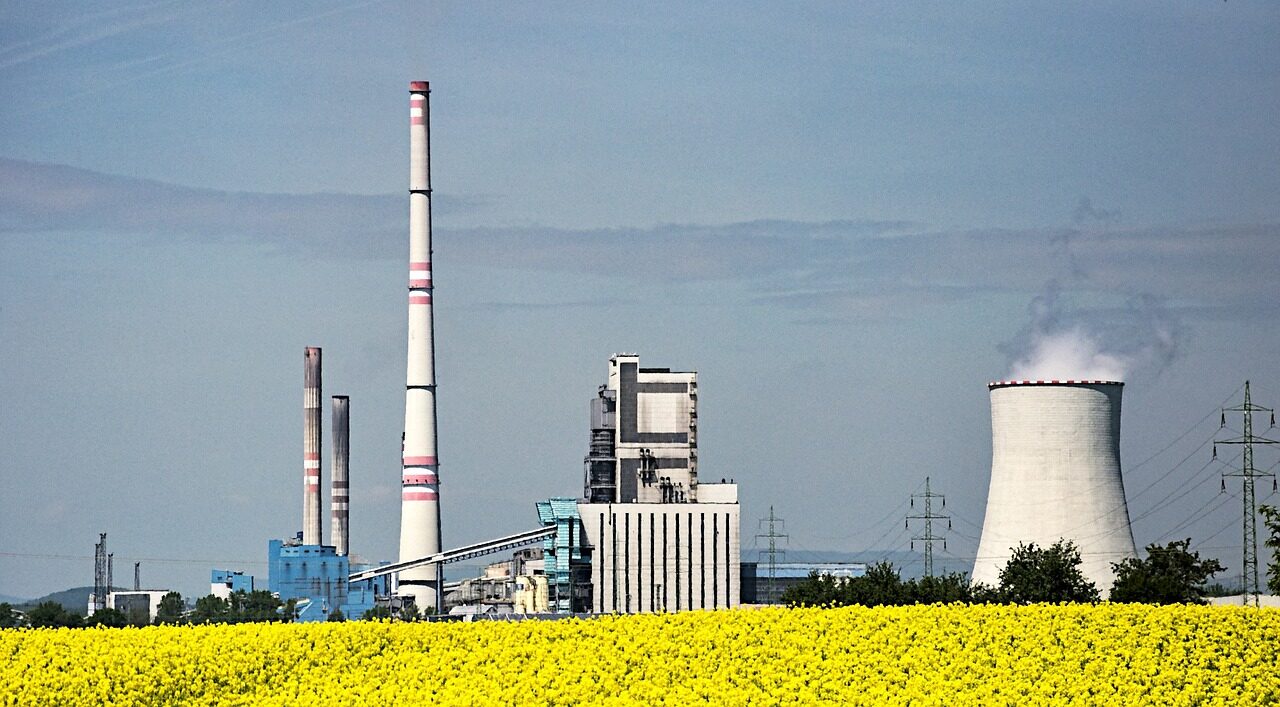 biofuel, power station, rapeseed, alternative energy sources, power engineering, production, the industry, energy, electricity, environmental protection, biofuel, biofuel, biofuel, biofuel, biofuel