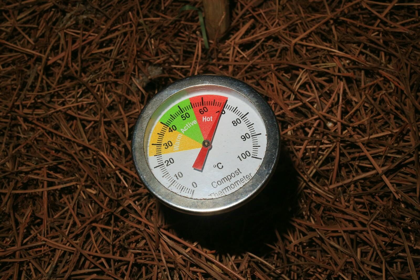 Soil thermometer probe inserted into organic soil material measuring temperature in Celsius illustrating soil temperature monitoring for carbon cycling and ecological field research.