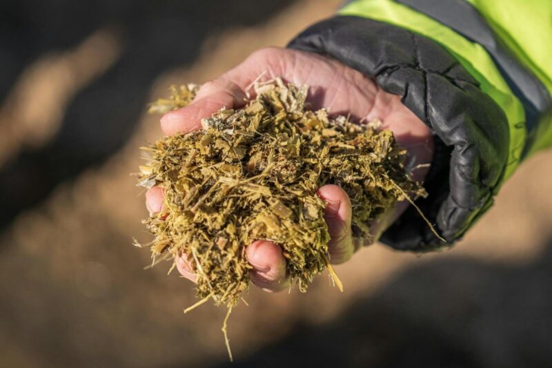 BioenergyKDF: What It Is and How Researchers Use the DOE Biomass Data Portal