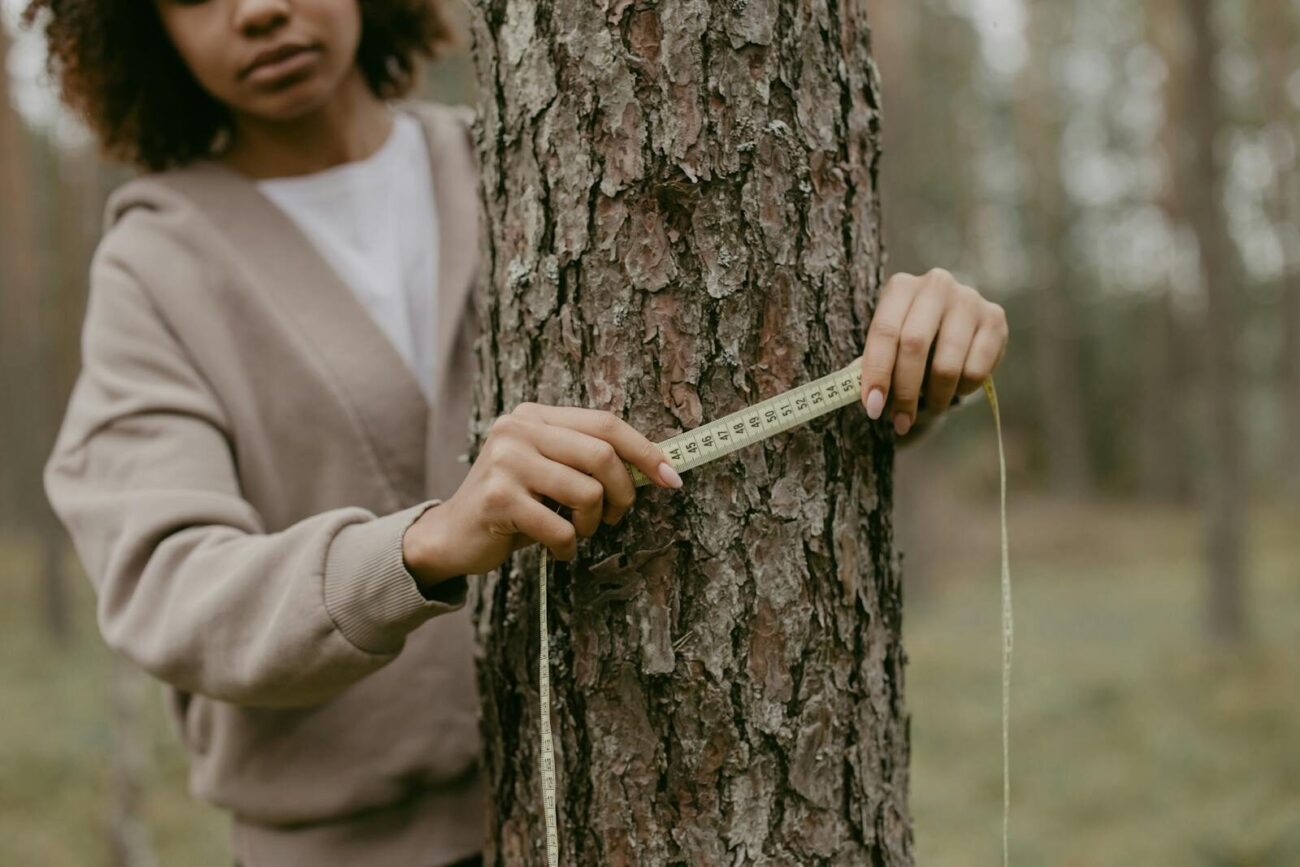 Researcher wrapping a measuring tape around a tree trunk to measure diameter at breast height using a DBH tape in a forest field research setting.