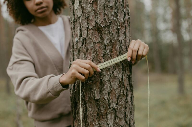 DBH Tape for Tree Diameter Measurement: What It Is and How to Use It