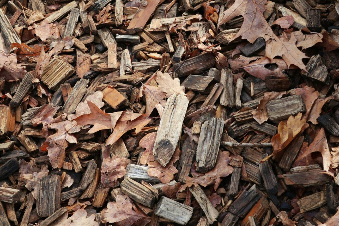 Wood chips as raw biomass feedstock showing the organic material that can be directly combusted for heat or converted into biofuel through biochemical and thermochemical processes.