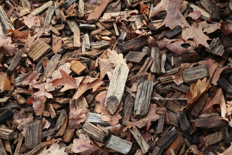Biomass vs Biofuel: What Is the Difference and Why the Chemistry Actually Changes Everything