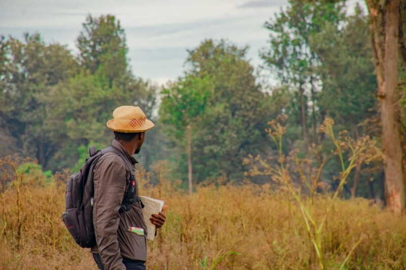 Field Equipment Bags and Carrying Cases for Environmental Researchers