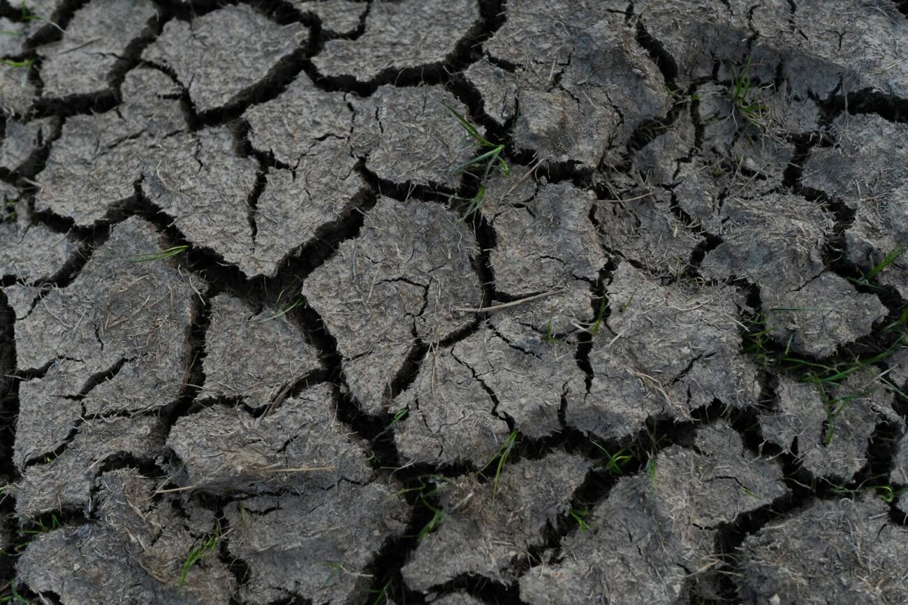 Cracked dry soil surface illustrating low soil moisture conditions that soil moisture sensors detect and monitor continuously in field research and ecological experiments.