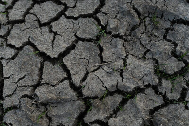 Soil Moisture Sensors: Which Type Should You Use and What to Buy