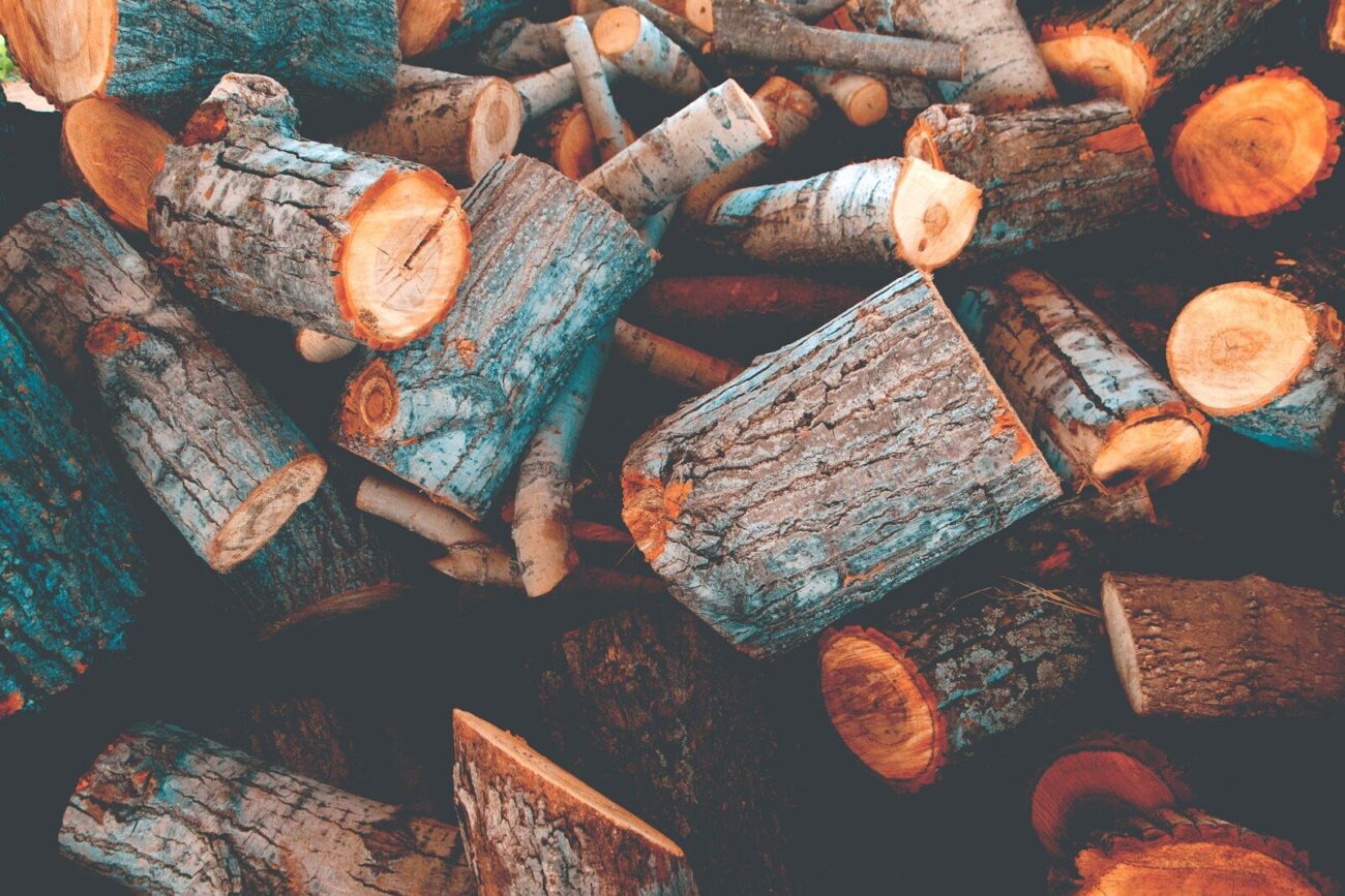 Cut birch and mixed wood logs piled together representing wood fuel biomass where moisture content measurement is critical for energy output and combustion efficiency.