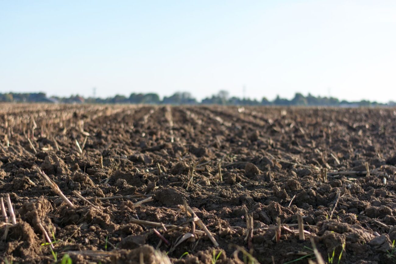 A freshly ploughed field of bare, broken soil with crop stubble