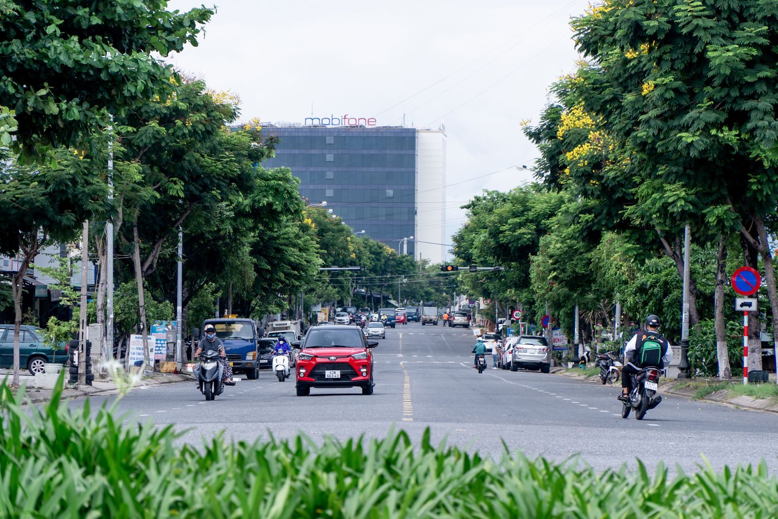 Tree-lined busy road with traffic and roadside greenery in an urban area