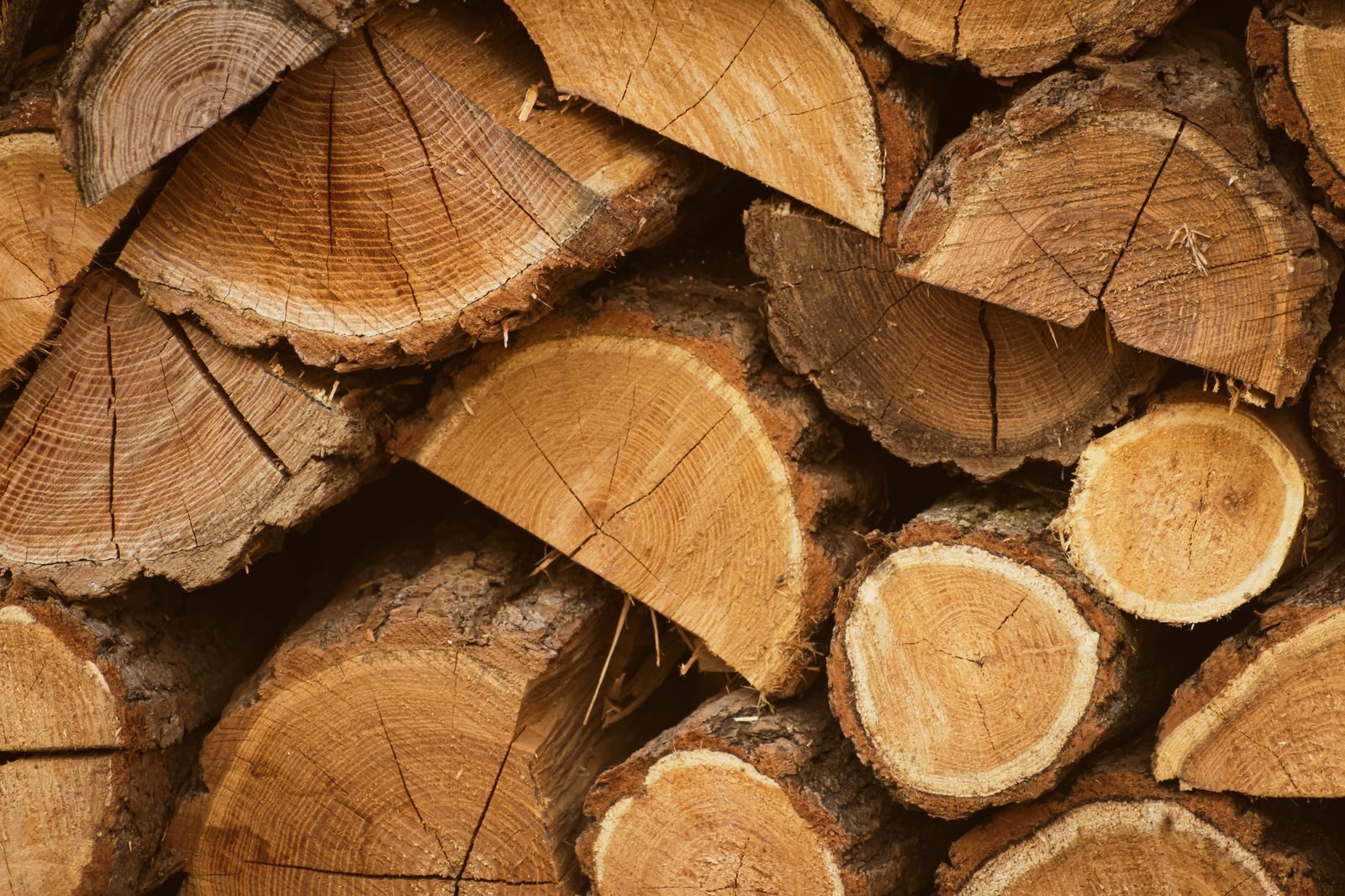 Stack of cut wooden logs showing woody biomass feedstock where the cellulose hemicellulose and lignin composition of the wood determines the ratio of biochar bio-oil and syngas produced in slow and fast pyrolysis