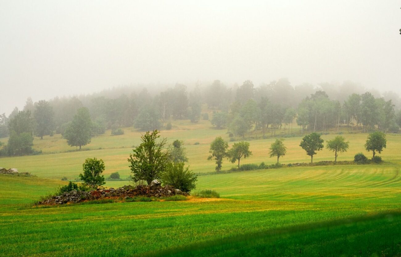 Green rural countryside with a soft haze hanging over the fields and hills on a warm day