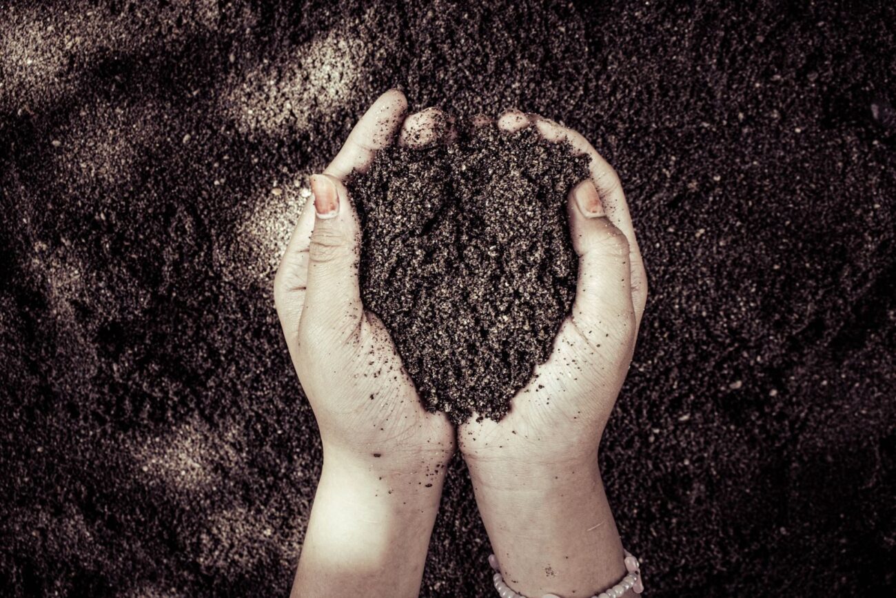 Hands holding dark soil above bare ground