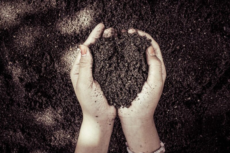Why Soil Carbon Is So Hard to Measure Well Enough to Sell