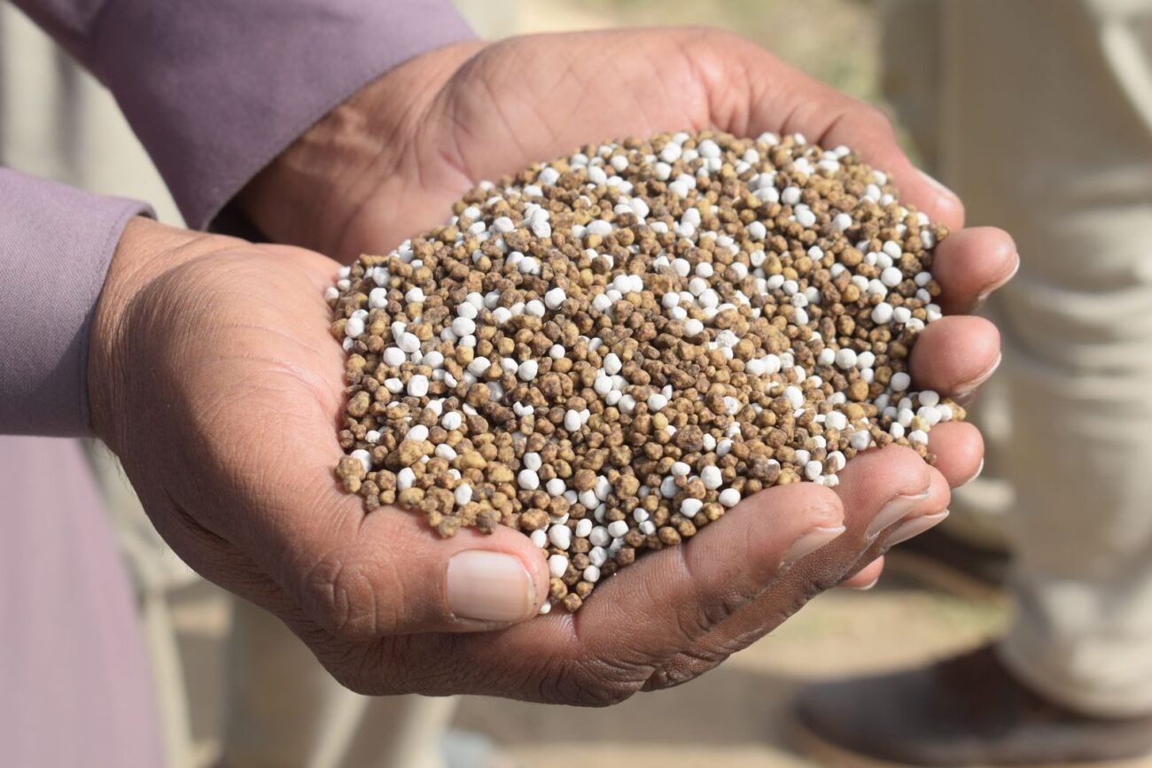Two hands holding a scoop of granular fertiliser