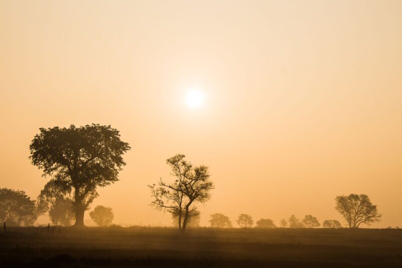 Ground-Level Ozone and the Ozone Layer Are Not the Same Thing