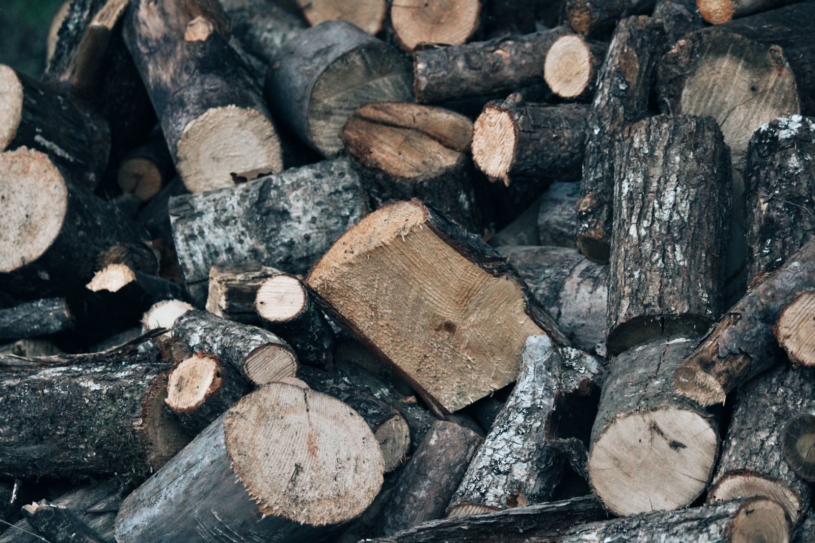 Pile of cut and split firewood logs showing the exposed inner faces and end grain