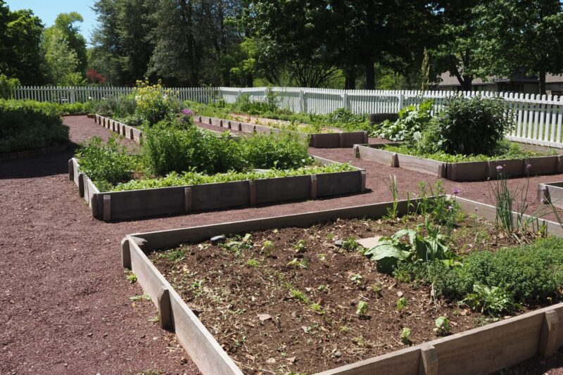 My Vegetable Garden Produces Less Every Year