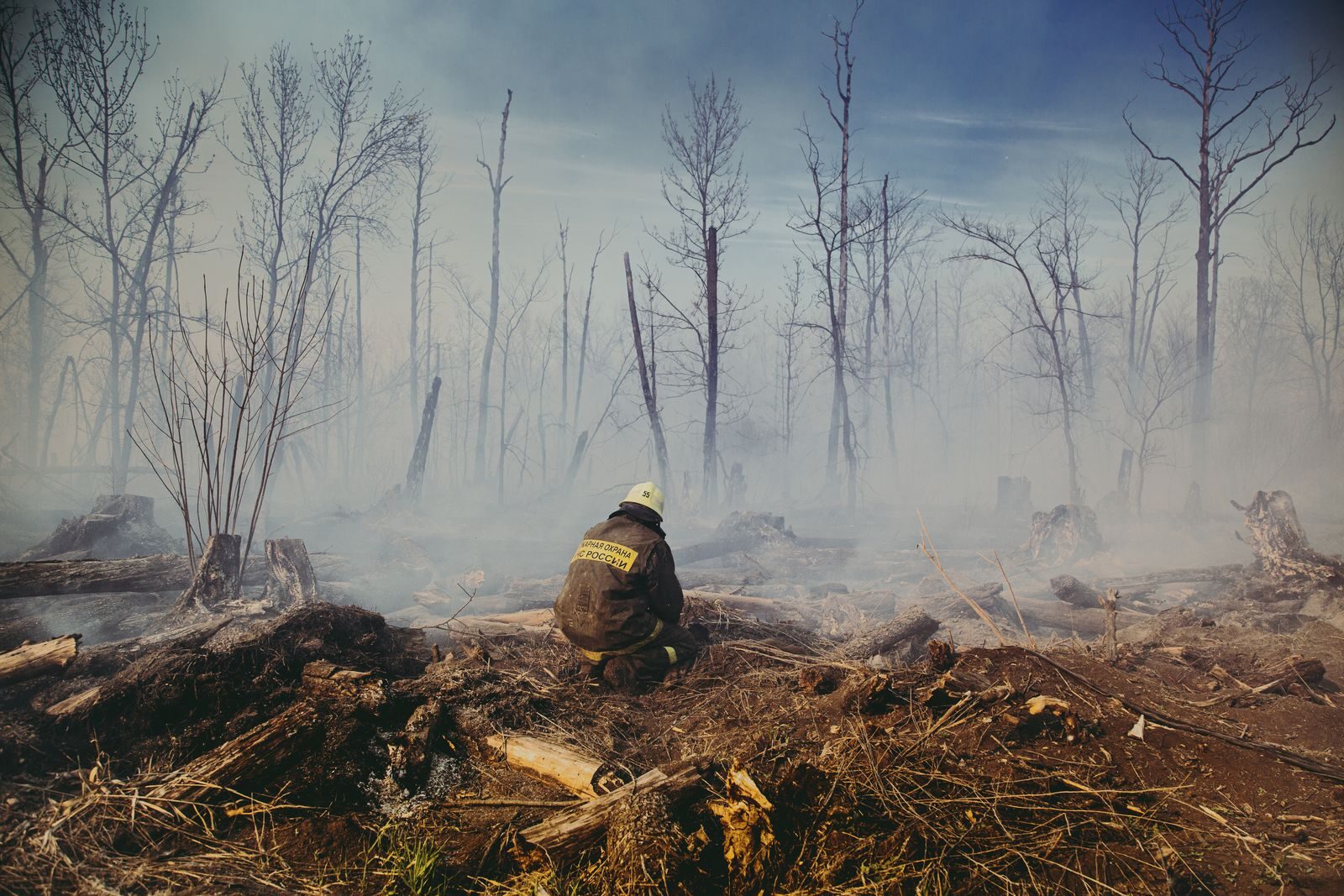 Firefighter in a smoldering burned forest with charred trees and ash covered soil where nitrogen has been volatilised during combustion altering the nutrient balance for forest recovery