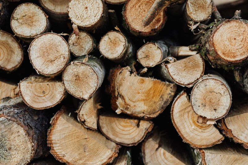What Is the Best Firewood for Heat