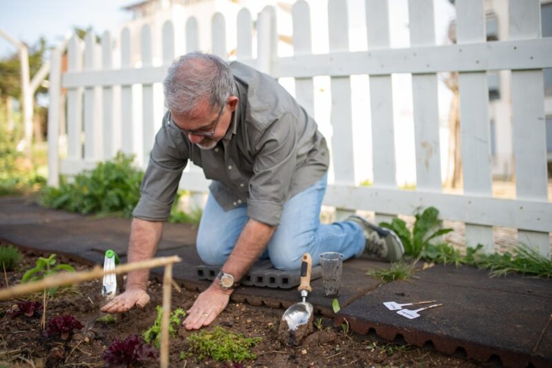 Soil pH Testers: What to Buy and How to Get a Reading You Can Trust