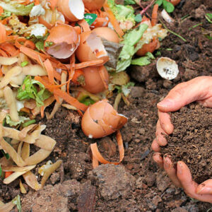 Compost C:N Ratio & Troubleshooting Pack