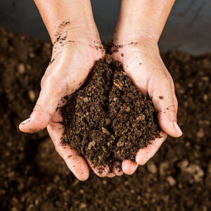 Soil Fix Decision Sheet