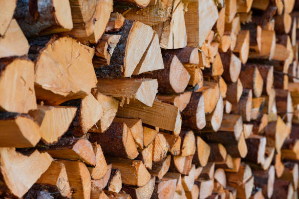 Firewood Moisture & Seasoning Logbook