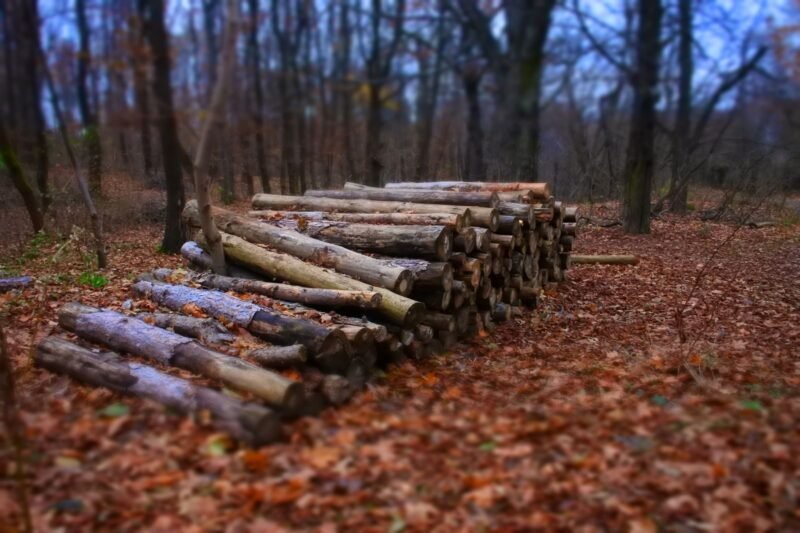 My Firewood Will Not Dry Below 20 Percent