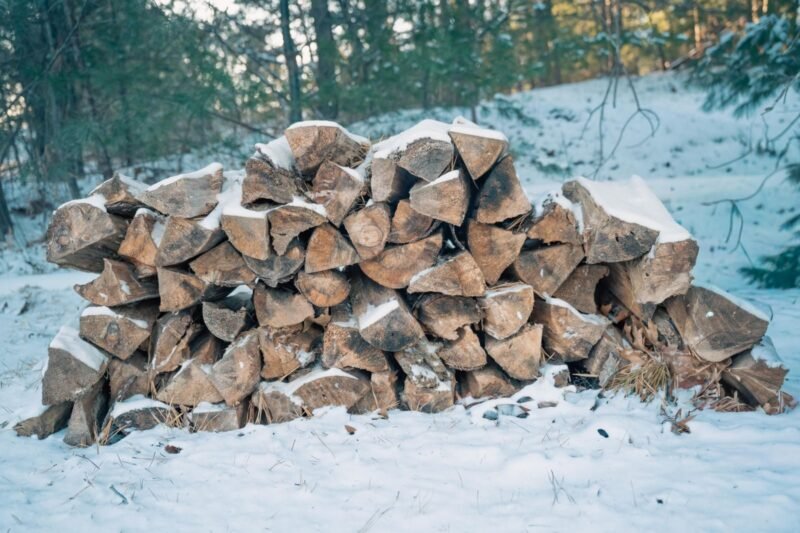 Frozen Firewood and Moisture Meters: Why Cold Wood Reads Drier Than It Is.