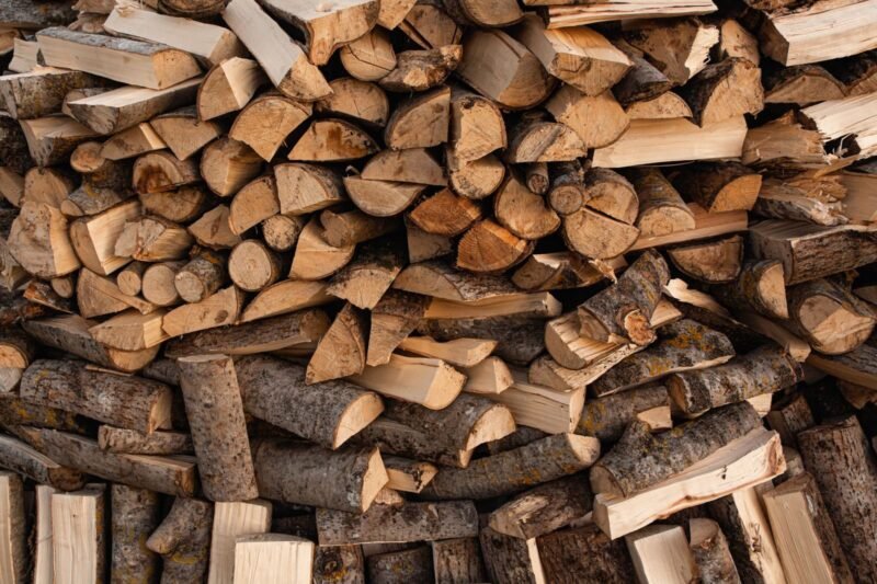 Dry Basis vs Wet Basis: Why Your Firewood Meter and the 20% Rule Don’t Match
