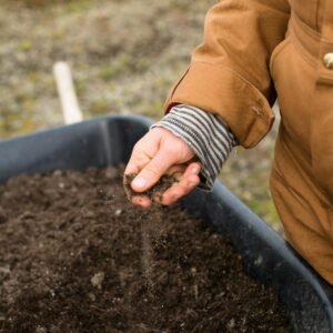 Hand crumbling dark soil into a raised garden bed
