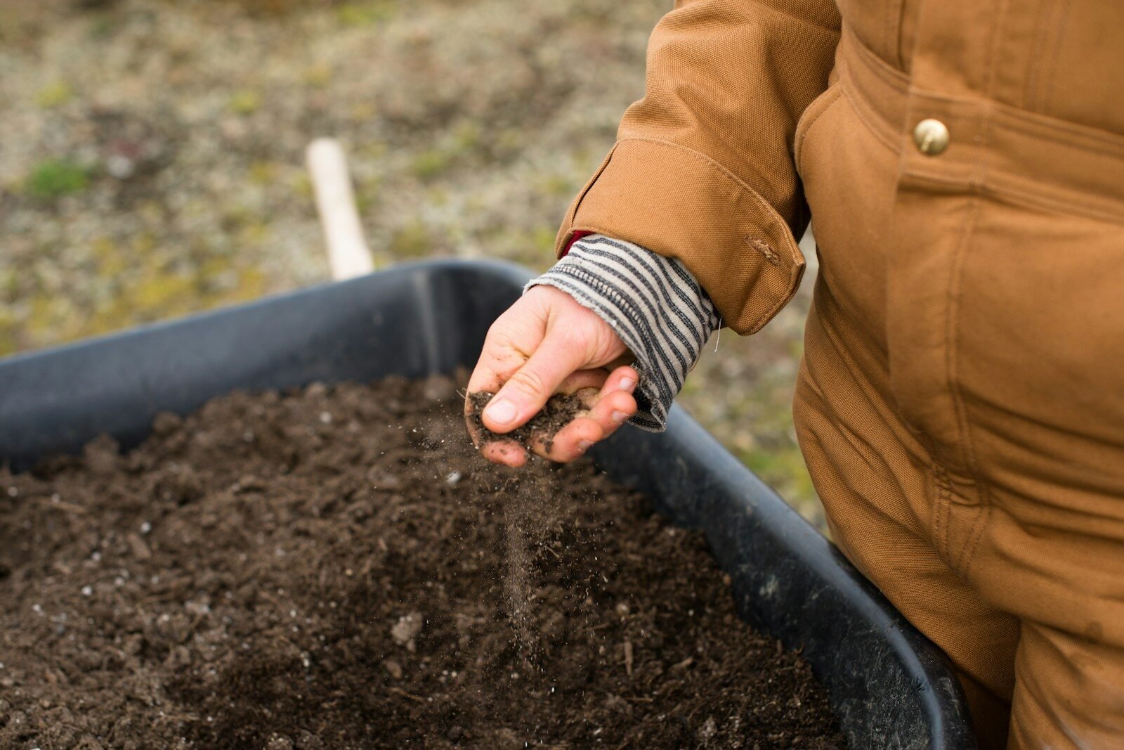 Hand crumbling dark soil into a raised garden bed