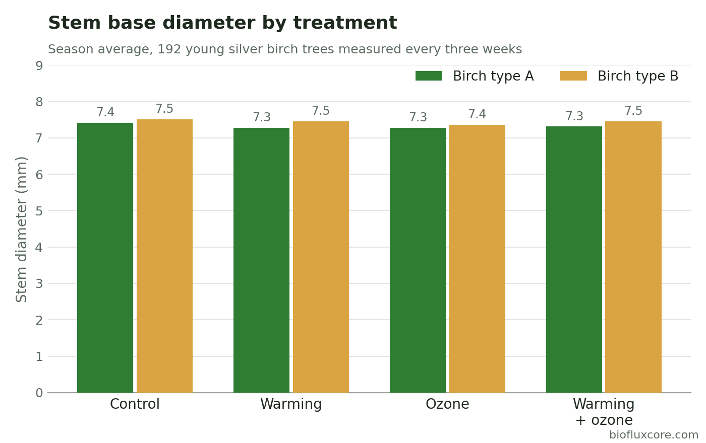 Bar chart of average stem base diameter in two types of young silver birch under control, warming, ozone, and combined treatments
