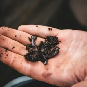 Hand holding a clump of dark, moist garden soil, the cover of a guide to testing soil biological activity at home