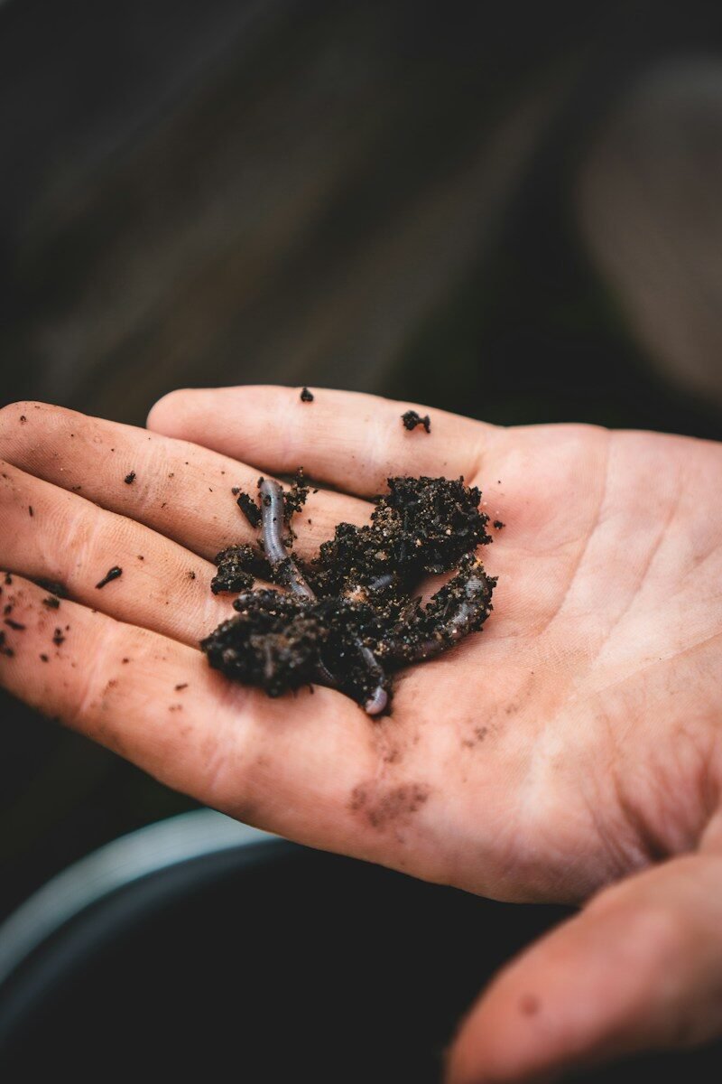 Hand holding a clump of dark, moist garden soil, the cover of a guide to testing soil biological activity at home